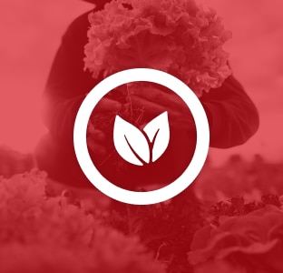 Vegan Icon